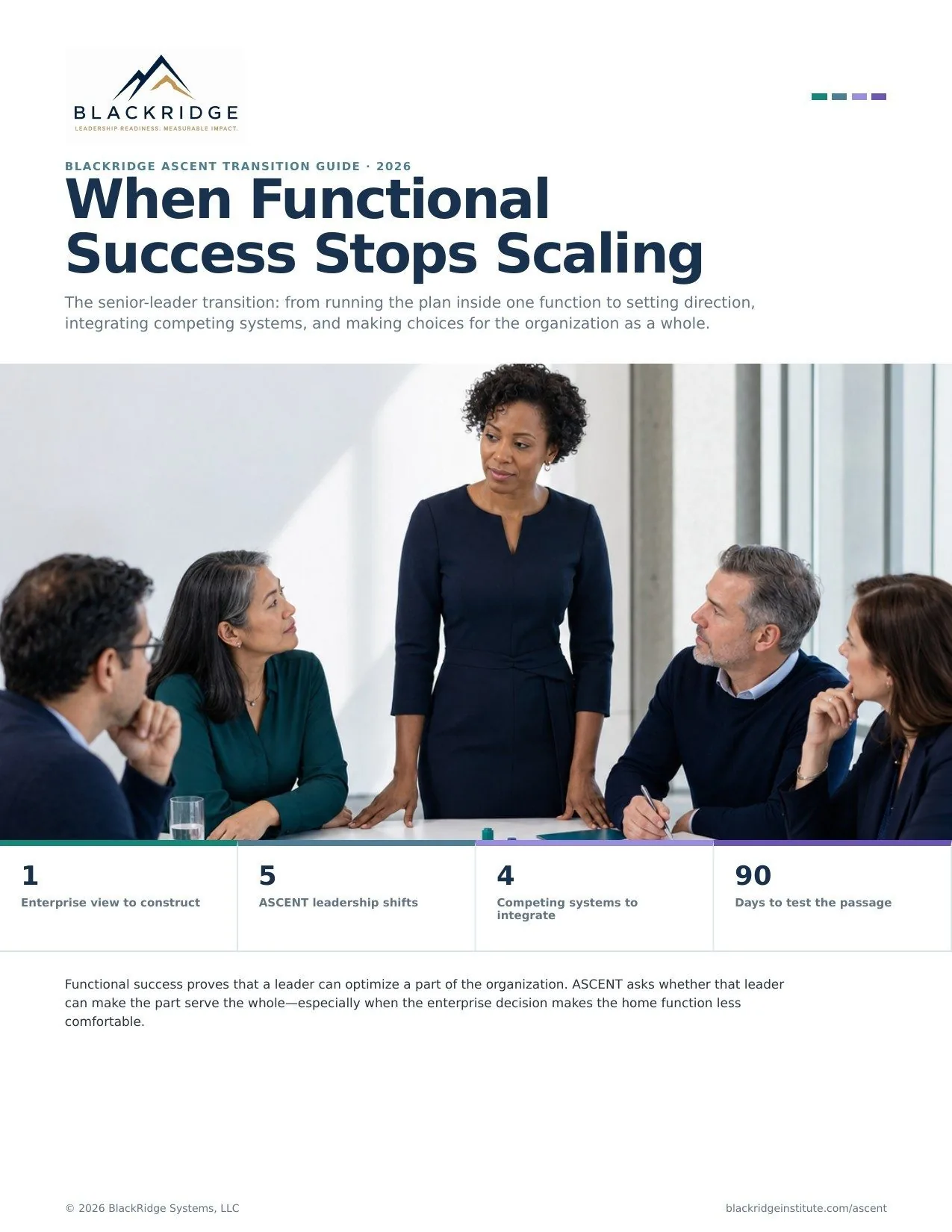 Cover of When Functional Success Stops Scaling